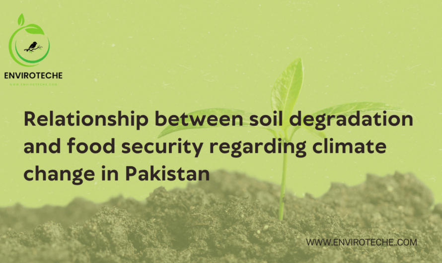 Relationship between soil degradation and food security regarding climate change in Pakistan