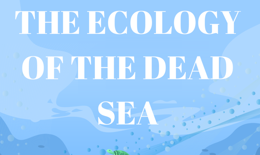 The Ecology of the Dead Sea
