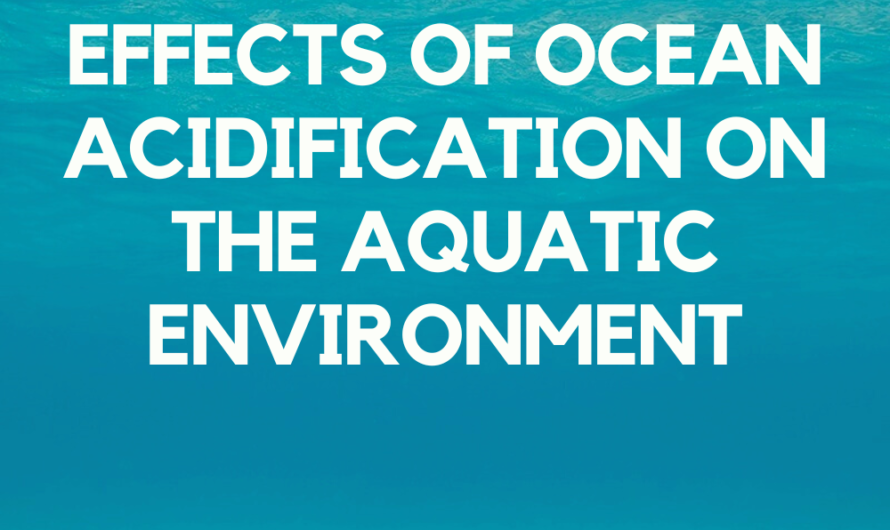 Effects of ocean acidification on the aquatic environment