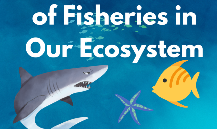The Vital Role of Fisheries in Our Ecosystem