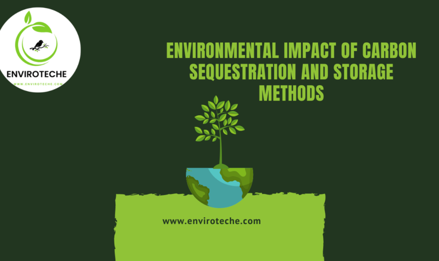 Environmental Impact of Carbon Sequestration and Storage Methods