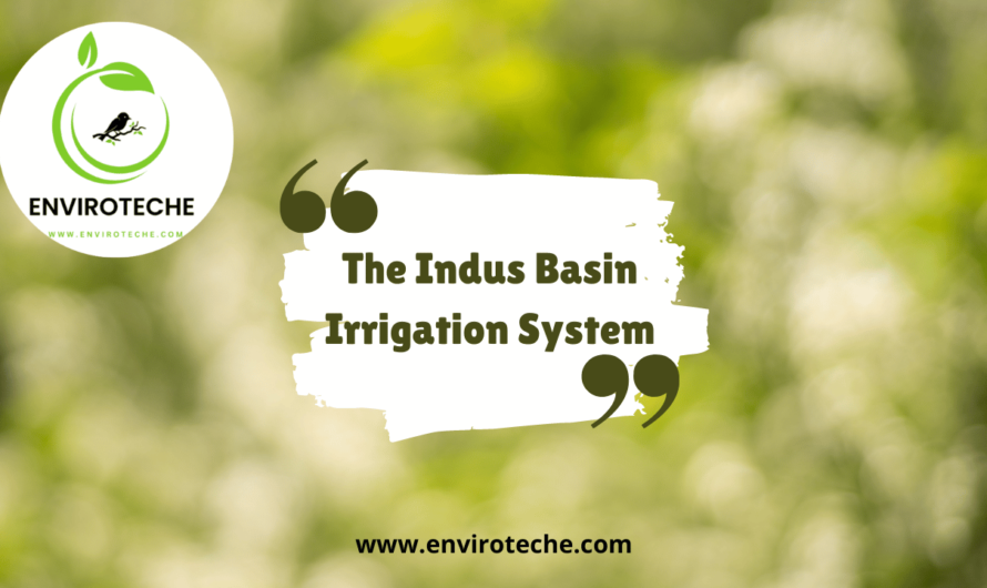 The Indus Basin Irrigation System