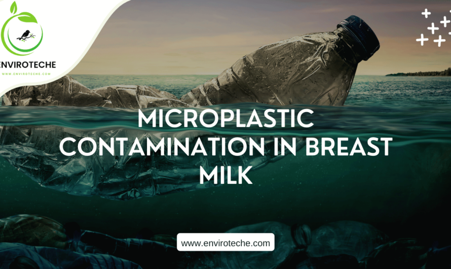 Microplastic Contamination in Breast Milk
