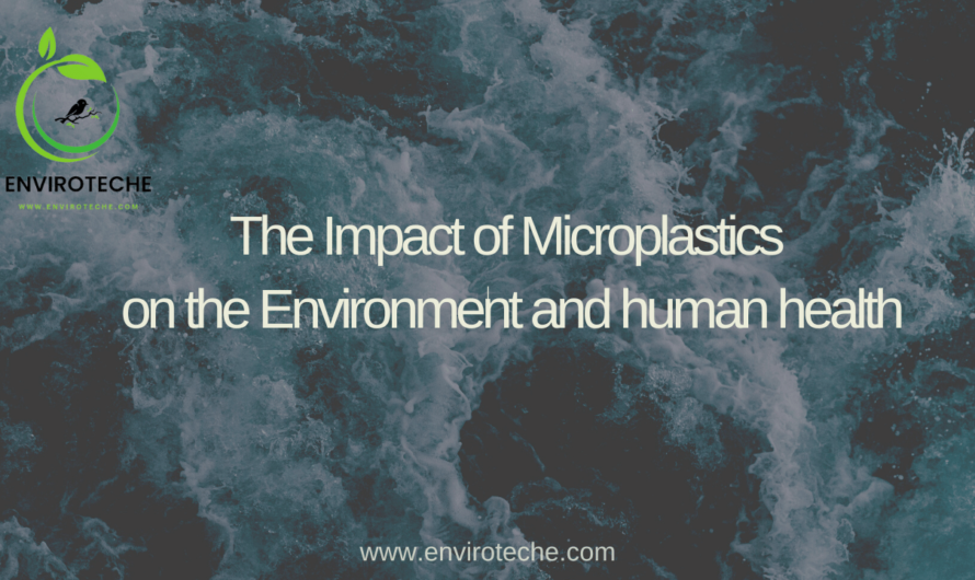 “The Impact of Microplastics on the Environment and human health”