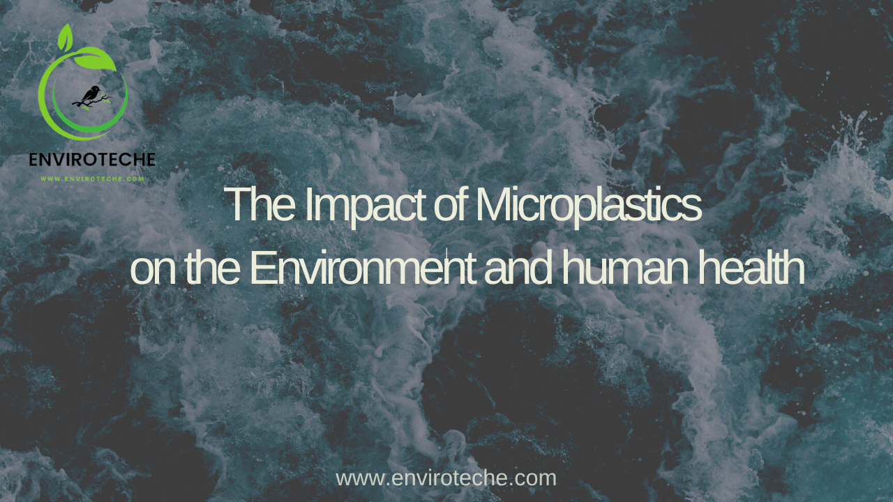 The Impact Of Microplastics On The Environment And Human Health 1