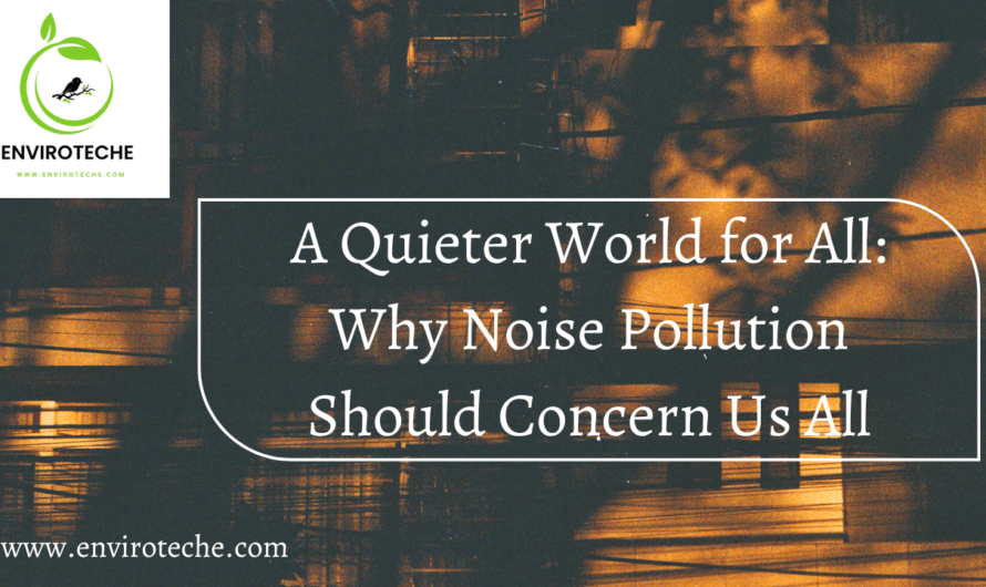 “A Quieter World for All: Why Noise Pollution Should Concern Us All”