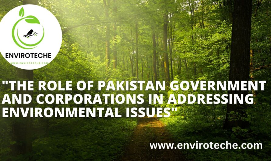 Pakistan Government and Corporations in Addressing Environmental Issues