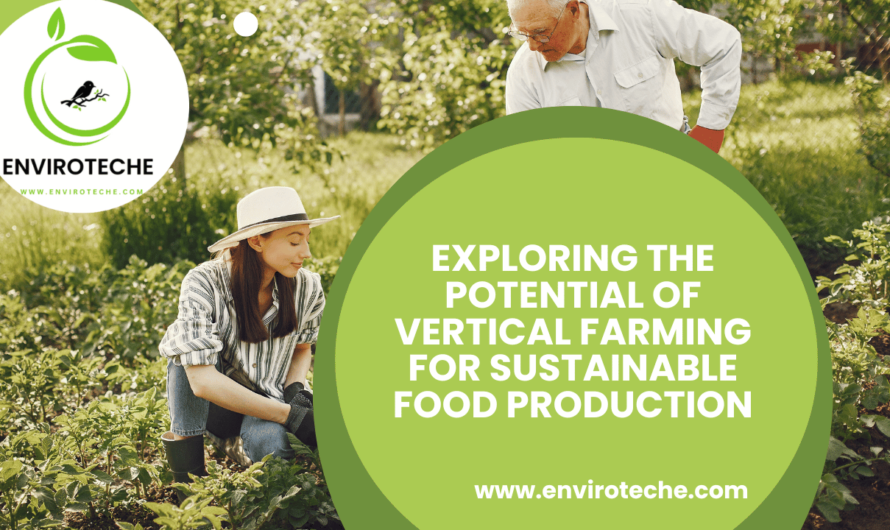 Exploring the Potential of Vertical Farming for Sustainable Food Production