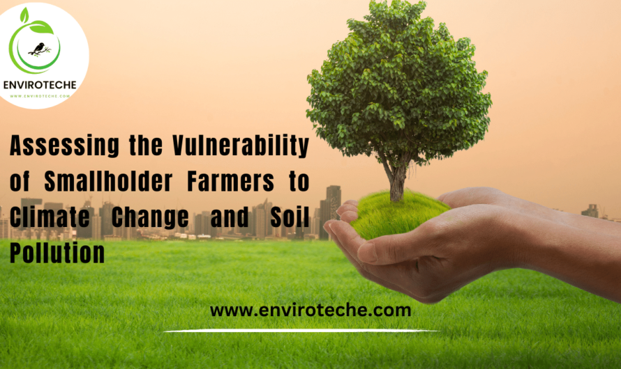 Assessing the Vulnerability of Smallholder Farmers to Climate Change and Soil Pollution