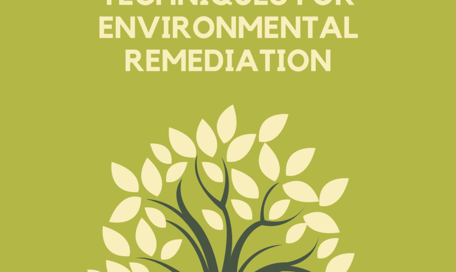 Nanoparticles and Phytoremediation: Synergistic Green Techniques for Environmental Remediation