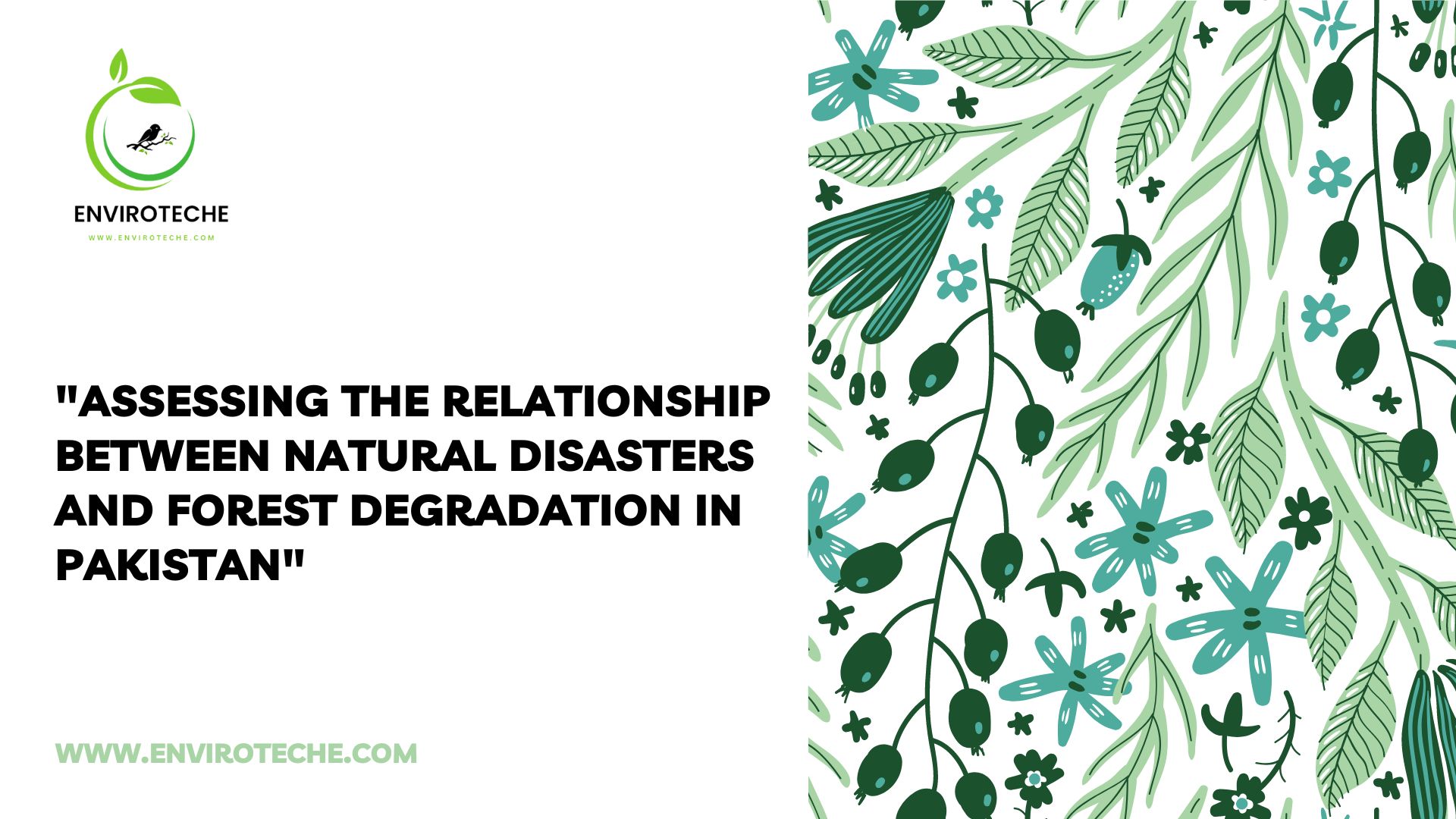 assessing-the-relationship-between-natural-disasters-and-forest