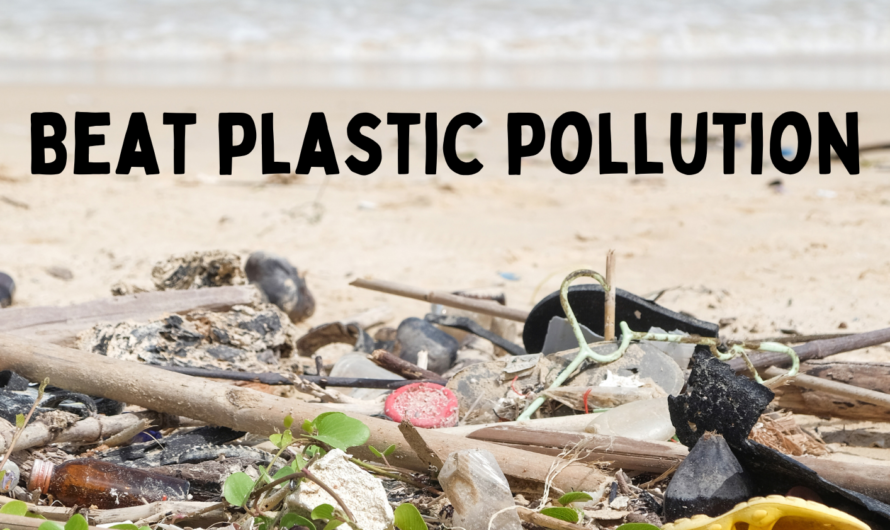 Beat plastic pollution: why plastic is persistent in the environment, its causes and impacts