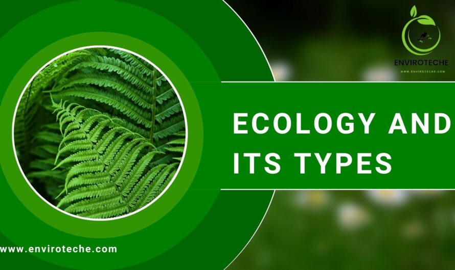 Ecology and its types