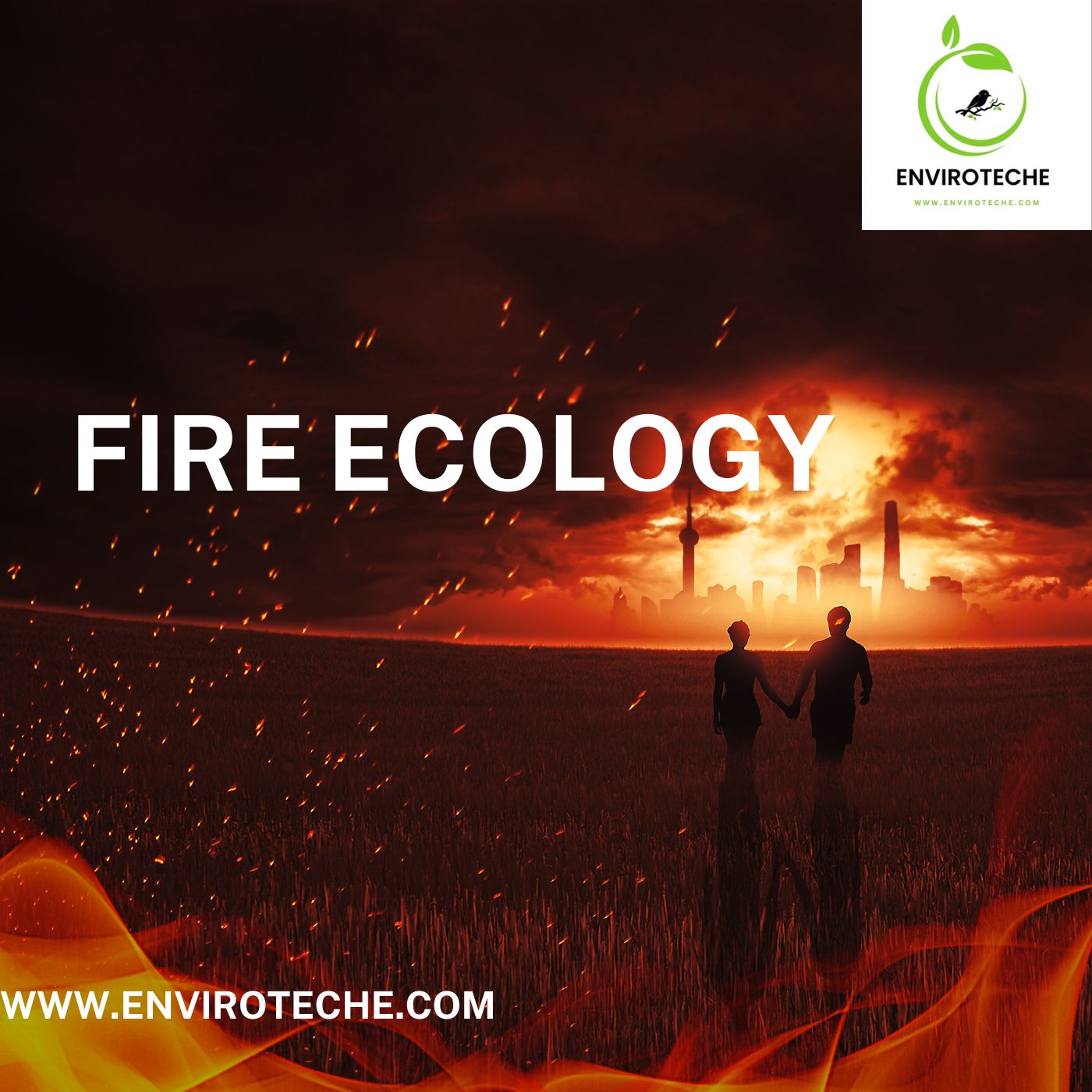 Fire Ecology 1