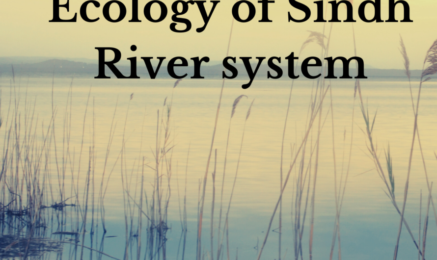 Ecology of Sindh River system