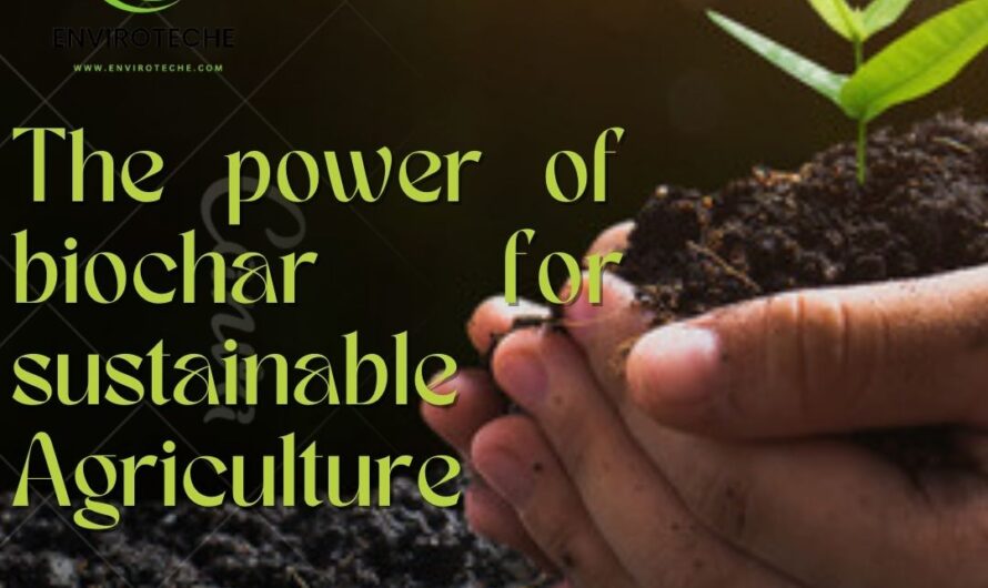 Unleashing the power of biochar for Sustainable Agriculture