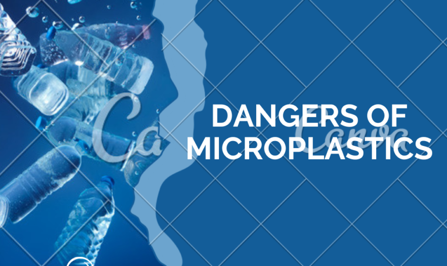Dangers of Microplastics
