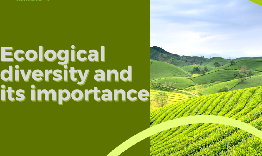  Ecological diversity and its importance