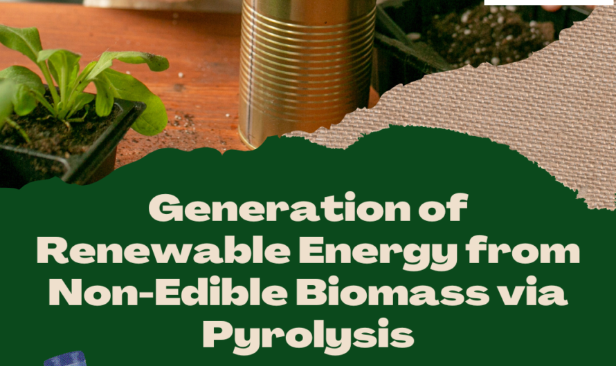 Optimal Generation of Renewable Energy from Non-Edible Biomass via Pyrolysis