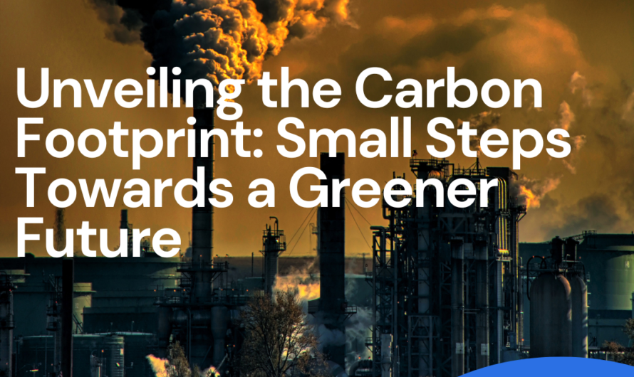 Unveiling the Carbon Footprint: Small Steps Towards a Greener Future