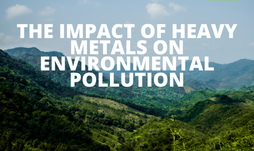The Impact of Heavy Metals on Environmental Pollution