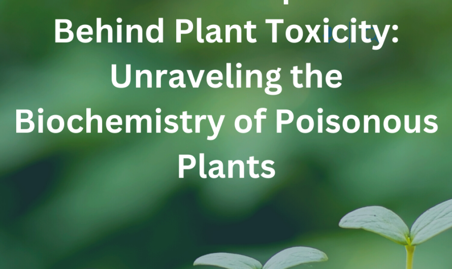 Chemical Compounds Behind Plant Toxicity: Unraveling the Biochemistry of Poisonous Plants