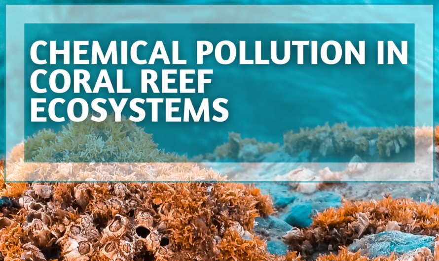 Chemical Pollution in Coral Reef Ecosystems