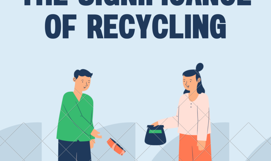 The Significance of Recycling and its Economic Viability for a Greener Future